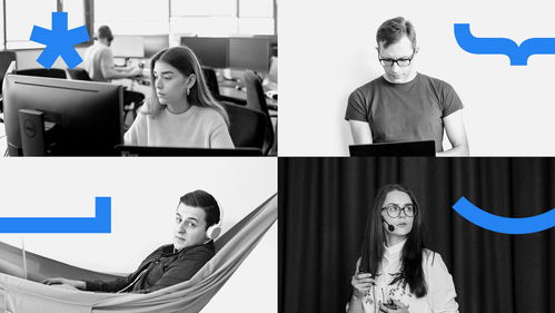 Baltic Amadeus 定制软件开发与品牌形象设计的完美融合